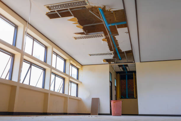 Reliable Hillsdale, NJ Water damage restoration Solutions