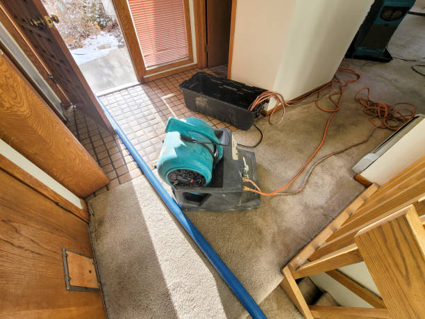 Best Residential water damage restoration  in Hillsdale, NJ