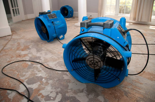 Best Ceiling water damage repair  in Hillsdale, NJ
