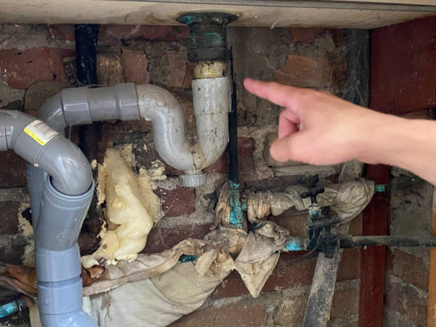 Best Sewage cleanup and water damage restoration  in Hillsdale, NJ