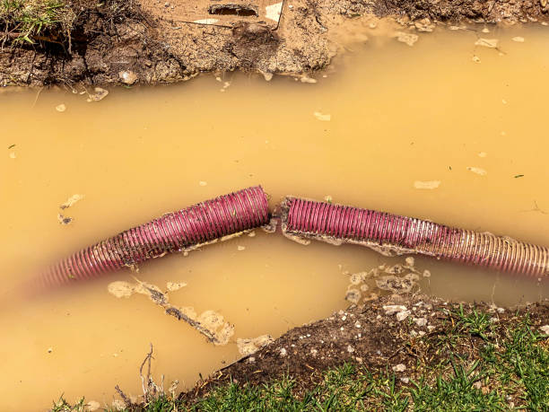 Best Flood restoration services  in Hillsdale, NJ