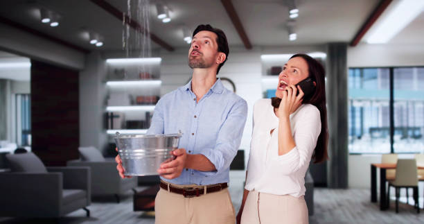 Best Local water damage restoration  in Hillsdale, NJ