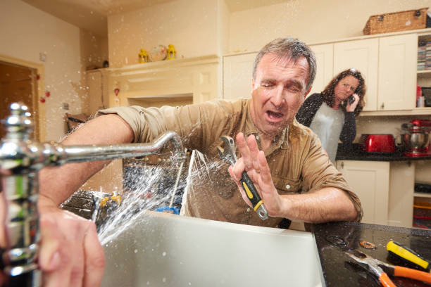 Best Mold removal after water damage  in Hillsdale, NJ